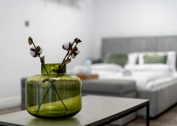 Malila Premium Apartments Cracow Centre Starowislna 43